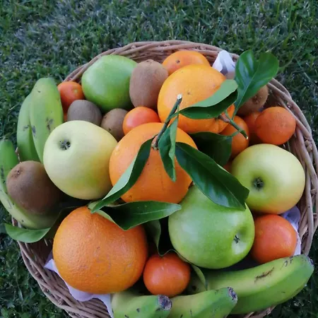 Loft As Casetas Peregrinos Appartamento Rosal