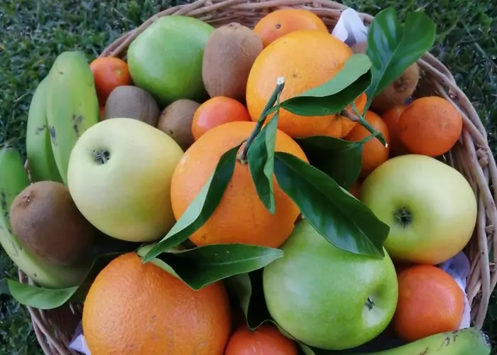 Loft As Casetas Peregrinos Appartement Rosal